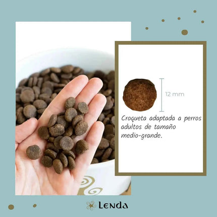 Lenda Sensitive - Hypoallergenic Fish-Based Dog Food for Severe Allergies and Intolerances, with Highly Digestible Hake and Potato for Gentle Digestion, Enhanced Immunity, and Strong Joints, 85% Animal Protein, Grain-Free.