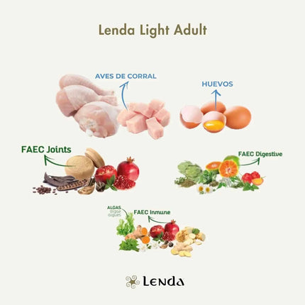 Lenda Light - Low Calorie Grain-Free Dog Food for Overweight and Sterilized Dogs, with Turkey, Natural Ingredients, Joint Support, and Digestive Health, 21% Protein, 8% Fat, Healthy Nutrition for Adult Dogs