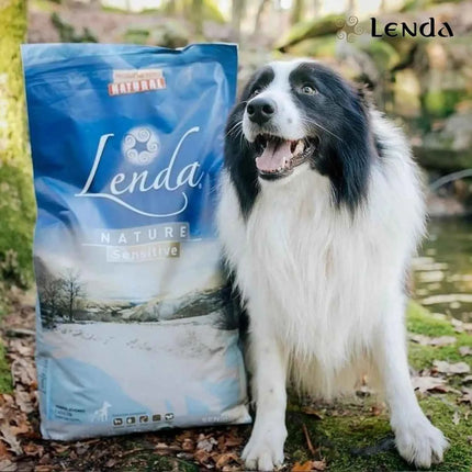 Lenda Sensitive - Hypoallergenic Fish-Based Dog Food for Severe Allergies and Intolerances, with Highly Digestible Hake and Potato for Gentle Digestion, Enhanced Immunity, and Strong Joints, 85% Animal Protein, Grain-Free.