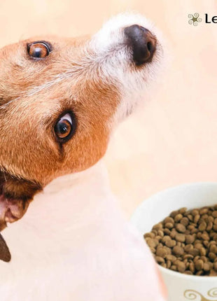 Lenda Light - Low Calorie Grain-Free Dog Food for Overweight and Sterilized Dogs, with Turkey, Natural Ingredients, Joint Support, and Digestive Health, 21% Protein, 8% Fat, Healthy Nutrition for Adult Dogs
