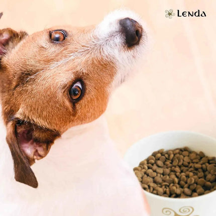 Lenda Light - Low Calorie Grain-Free Dog Food for Overweight and Sterilized Dogs, with Turkey, Natural Ingredients, Joint Support, and Digestive Health, 21% Protein, 8% Fat, Healthy Nutrition for Adult Dogs