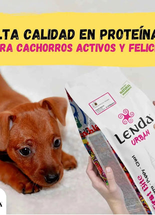 Lenda Urban First Bite Puppy – Natural Complete and Balanced Dog Food for Puppies, 30% Protein, with Chicken, Pork, and Beef, promoting Digestive Health, Granule Format.