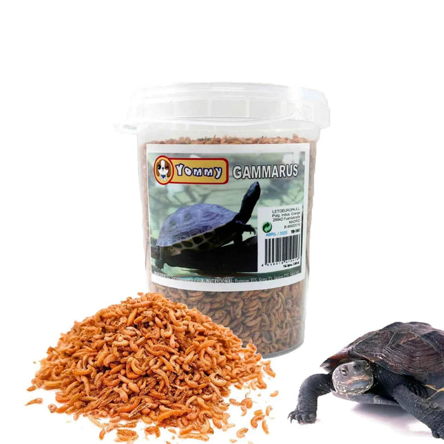 Natural food gammarus for turtles 1000 ml, large bucket of shrimp feed for turtles 1 liter