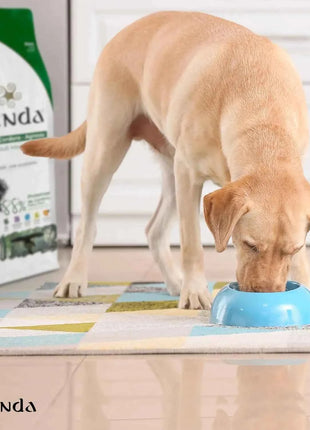 Lenda Lamb - Natural Dog Food Rich in Lamb, 27% Highly Digestible Protein for All Ages, Hypoallergenic and Joint Health Support with Functional Ingredients, Balanced Nutrition for Dogs