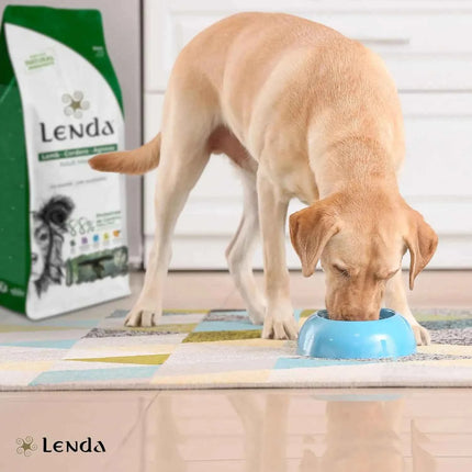 Lenda Lamb - Natural Dog Food Rich in Lamb, 27% Highly Digestible Protein for All Ages, Hypoallergenic and Joint Health Support with Functional Ingredients, Balanced Nutrition for Dogs