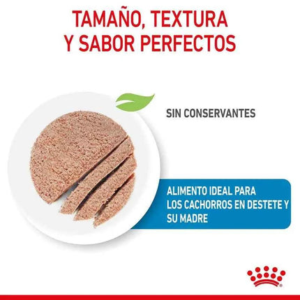 5X195Gr Royal Canin Starter Mousse Mother & Babydog