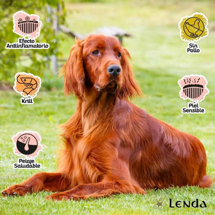 Lenda Sensitive - Hypoallergenic Fish-Based Dog Food for Severe Allergies and Intolerances, with Highly Digestible Hake and Potato for Gentle Digestion, Enhanced Immunity, and Strong Joints, 85% Animal Protein, Grain-Free.