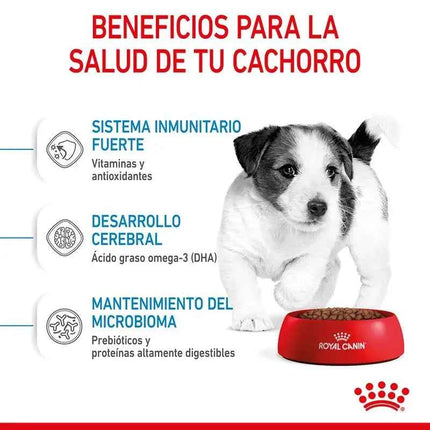 Royal Canin Mini Puppy 8KG dog food for small breed puppies up to 10 kg, with balanced nutrition, high energy for growth, and enriched with vitamins C and E for immune support and digestive health.