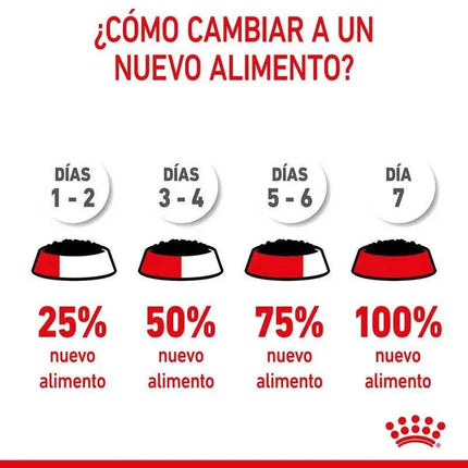 5X195Gr Royal Canin Starter Mousse Mother & Babydog