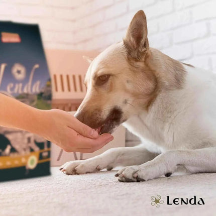 Lenda hypoallergenic turkey – natural grain free food for young and adult dogs