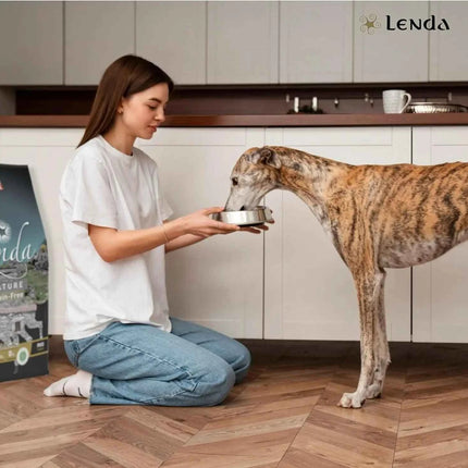 Lenda hypoallergenic turkey – natural grain free food for young and adult dogs