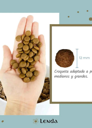 Lenda Light - Low Calorie Grain-Free Dog Food for Overweight and Sterilized Dogs, with Turkey, Natural Ingredients, Joint Support, and Digestive Health, 21% Protein, 8% Fat, Healthy Nutrition for Adult Dogs