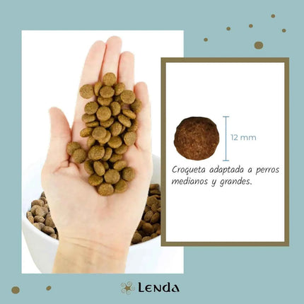 Lenda Light - Low Calorie Grain-Free Dog Food for Overweight and Sterilized Dogs, with Turkey, Natural Ingredients, Joint Support, and Digestive Health, 21% Protein, 8% Fat, Healthy Nutrition for Adult Dogs