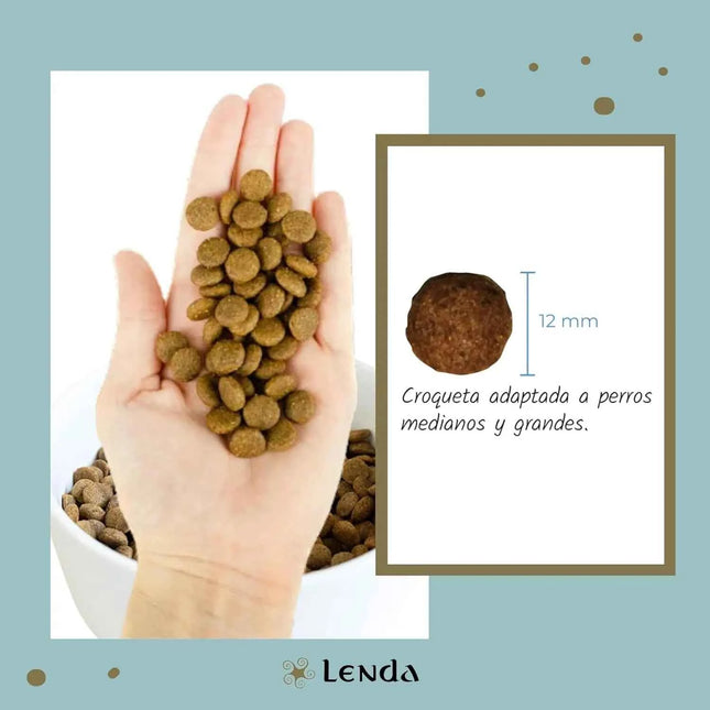 Lenda Light - Low Calorie Grain-Free Dog Food for Overweight and Sterilized Dogs, with Turkey, Natural Ingredients, Joint Support, and Digestive Health, 21% Protein, 8% Fat, Healthy Nutrition for Adult Dogs