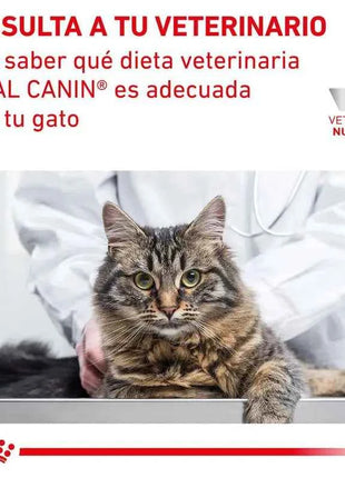 12x85g - royal canin renal wet food