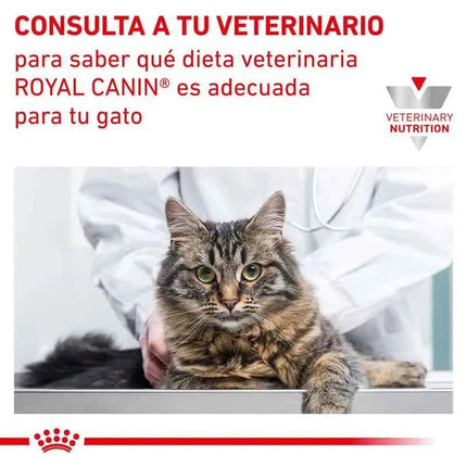 12x85g - royal canin renal wet food