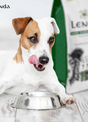 Lenda Lamb - Natural Dog Food Rich in Lamb, 27% Highly Digestible Protein for All Ages, Hypoallergenic and Joint Health Support with Functional Ingredients, Balanced Nutrition for Dogs