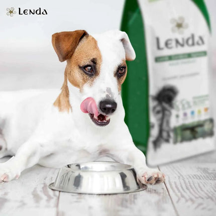Lenda Lamb - Natural Dog Food Rich in Lamb, 27% Highly Digestible Protein for All Ages, Hypoallergenic and Joint Health Support with Functional Ingredients, Balanced Nutrition for Dogs