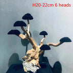 H20-25cm 6 heads