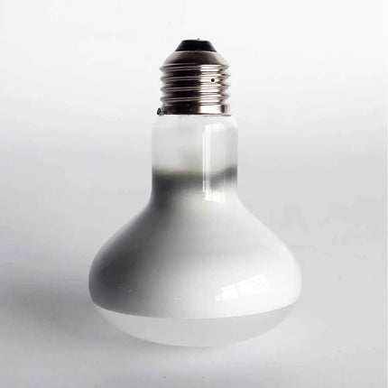 UVA+UVB Reptile Heating Lamp 220v Heater Bulb For Turtle Lizard Reptile Pet Daylight Lamp Aquarium With Temperature Controller