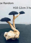 H10-12cm 3 heads