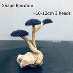 H10-12cm 3 heads