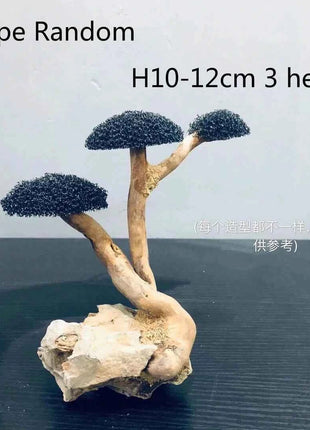Aquarium Decoration Moss Driftwood Fish Tank Landscaping Water Grass Moss Tree Trunk DIY (No Aquatic Plants)