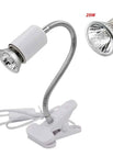 25W and white holder