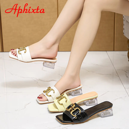 Aphixta 2025 Fibbia in metallo 3,5 cm Tacchi quadrati trasparenti Presentazioni aziende produttrici giochi Donna Peep Toe Ciabatte fresche Pantofole estive Sandali Scarpe eleganti