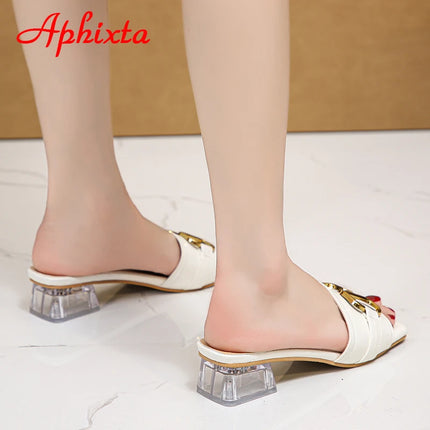 Aphixta 2025 Fibbia in metallo 3,5 cm Tacchi quadrati trasparenti Presentazioni aziende produttrici giochi Donna Peep Toe Ciabatte fresche Pantofole estive Sandali Scarpe eleganti
