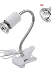 75W and white holder