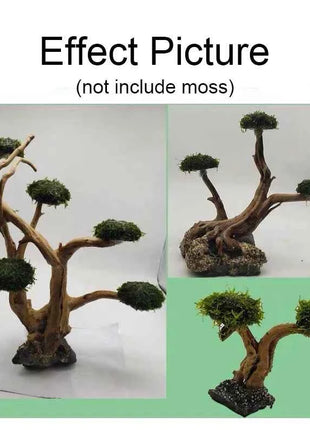 Aquarium Decoration Moss Driftwood Fish Tank Landscaping Water Grass Moss Tree Trunk DIY (No Aquatic Plants)