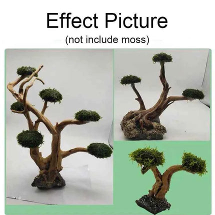 Aquarium Decoration Moss Driftwood Fish Tank Landscaping Water Grass Moss Tree Trunk DIY (No Aquatic Plants)