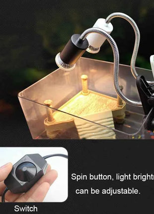 UVB E27 Pet Reptile Lamp Clip-on Bulb Lamp Holder Turtle Basking UV Heating Lamp Kit Tortoises Light Lizards Lighting  EU Plug