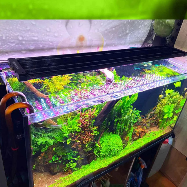 LICAH Aquarium Plant Growing LED LIGHT LDP-1000 Free Shpping