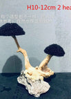 H10-12cm 2 heads