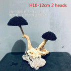 H10-12cm 2 heads