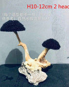 Aquarium Decoration Moss Driftwood Fish Tank Landscaping Water Grass Moss Tree Trunk DIY (No Aquatic Plants)