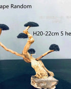Aquarium Decoration Moss Driftwood Fish Tank Landscaping Water Grass Moss Tree Trunk DIY (No Aquatic Plants)