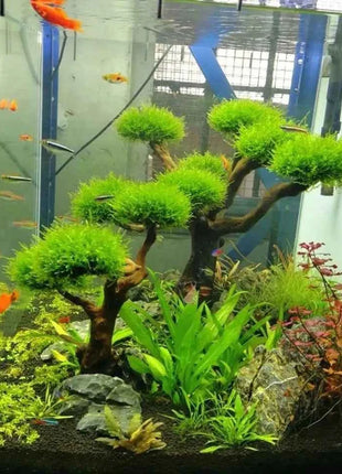 Aquarium Decoration Moss Driftwood Fish Tank Landscaping Water Grass Moss Tree Trunk DIY (No Aquatic Plants)