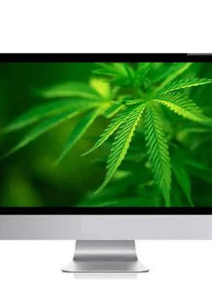 Cheap 21.5 Inch White Full HD LCD Display Home Office Barebone Laptop Core I3 8GB DDR4 RAM SSD Storage for Business Use