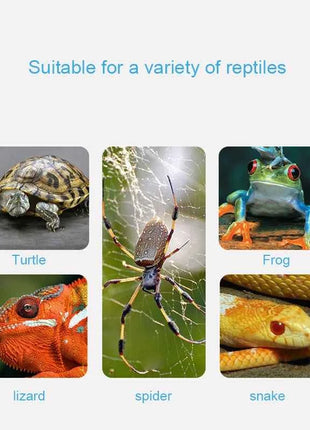 UVB E27 Pet Reptile Lamp Clip-on Bulb Lamp Holder Turtle Basking UV Heating Lamp Kit Tortoises Light Lizards Lighting  EU Plug