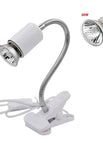 50W and white holder