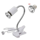 50W and white holder