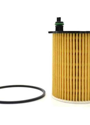 Filtro olio 1109AY Per Peugeot 206 CC 207 SW 308 407 SW Bipper Tepee/208 508 Partner Expert 2012 - 2018 / 307 2001 - 2018