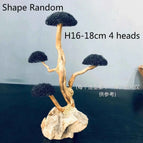 H16-18cm 4 heads
