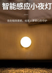 With Switch Induction + Constant Light + Warm Light / 1w