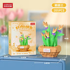 Strelitzia Reginae [color Box]