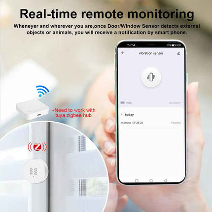 Vibration Alarm