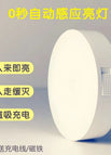Two-color Induction Switch / 1w